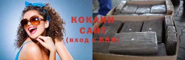 крисы Абаза