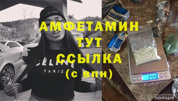 крисы Абаза