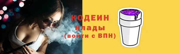 крисы Абаза