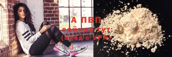 крисы Абаза