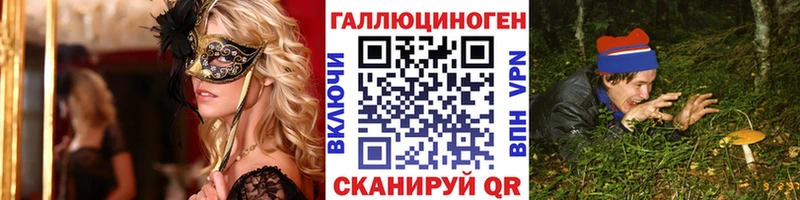 МЕГА онион  закладка  Усмань  Псилоцибиновые грибы Psilocybe 