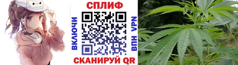 Каннабис ГИДРОПОН закладка Усмань